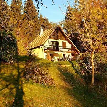 Alpinejka House Villa Tržič Eksteriør bilde