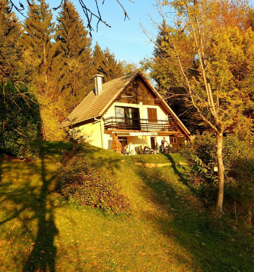 Alpinejka House Villa Tržič Eksteriør bilde