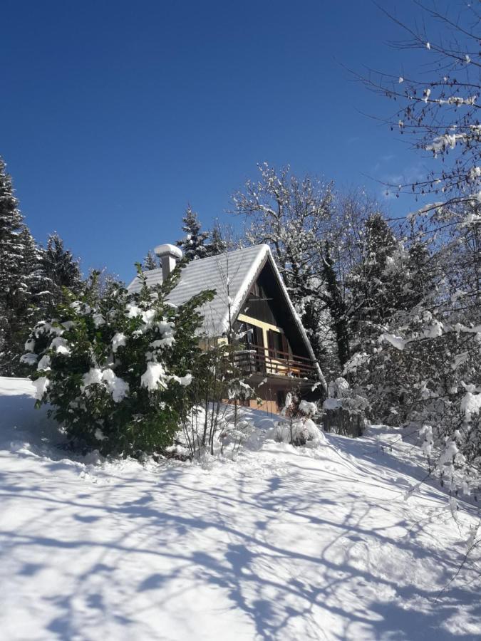 Alpinejka House Villa Tržič Eksteriør bilde